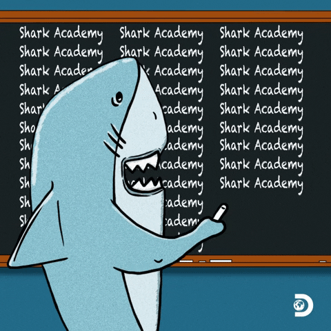 Discovery Channel School GIF by Shark Week