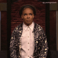 Oh My God What GIF by Late Night with Seth Meyers