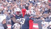New England Patriots Football GIF by NFL