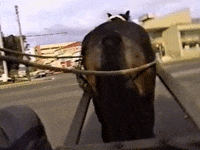 Vintage Vhs GIF by jorgemariozuleta