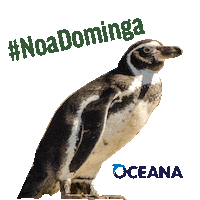 Humboldt Oceanos Sticker by Oceana Chile