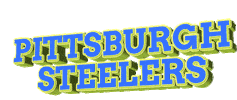 Pittsburgh Steelers Football Sticker by GIPHY Text