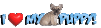 My Pet Love Sticker