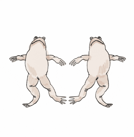 potsolya giphygifmaker dance frogs GIF