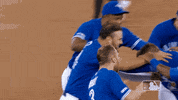 major league baseball sport GIF by MLB
