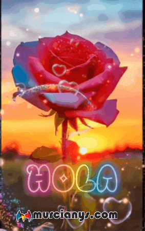 Solo Quiero Para Mi GIF by Murcianys LLC