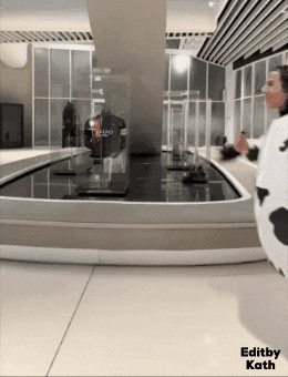 Cow Ho GIF
