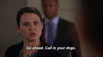 katie lowes scandal GIF by ABC Network