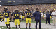 excited michigan football GIF by Michigan Athletics