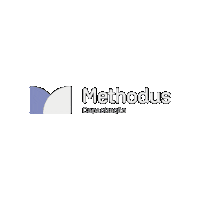 methoduscapacitacao  Sticker