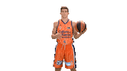 Liga Endesa Basketball Sticker by ACB