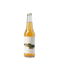 vanlovefest bottle flip vanlove fest vanlovefest van fest Sticker
