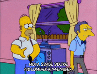 homer simpson GIF
