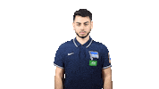 Fifa Sticker by Hertha BSC