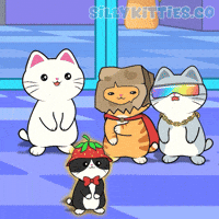 Happy Cat GIF by Silly Kitties