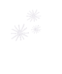 Risaarenee design flowers simple fire work Sticker