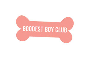 mulligansproshop good boy good dog goodboy dog bone Sticker