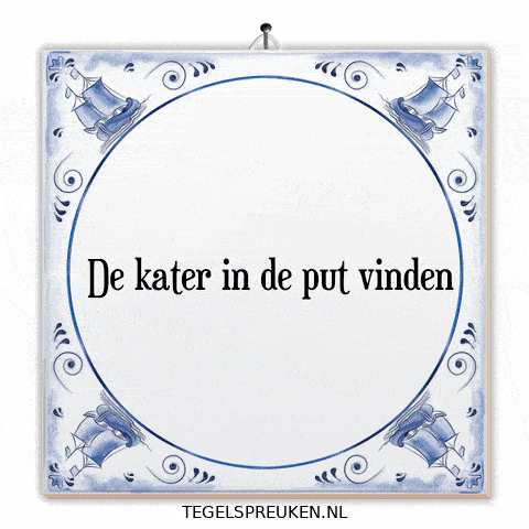 Humor Nl GIF by Tegelspreuken.nl