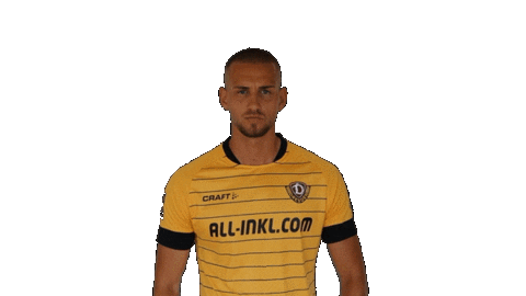 Bundesliga Celebrate Sticker by SG Dynamo Dresden