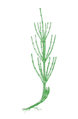 BloominAxilla giphyupload Sticker