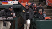 Interview Zach Edwards GIF by Oregon State Baseball