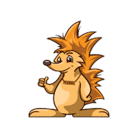 Oranje Sticker by Chiro