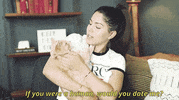 youtube cat GIF