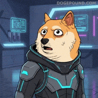 Uh Oh Wow GIF by Doge Pound