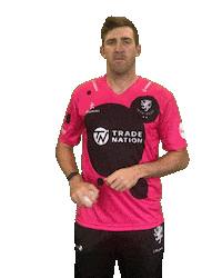 Ball Bat Sticker by Somerset County Cricket Club