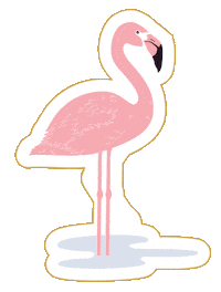 Pink Bird Sticker by MissMalini