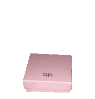 pakerapakera joias pak caixinha pink box Sticker