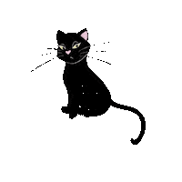 Black Cat Good Luck Sticker