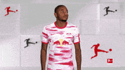 Rb Leipzig What GIF by Bundesliga
