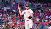Celebration Yell GIF by Cincinnati Reds