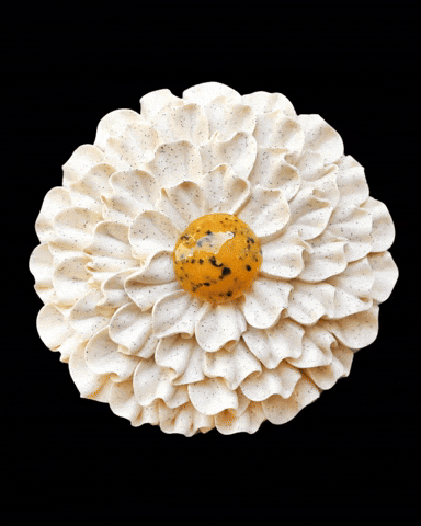 Flower Paris GIF by Cedric Grolet