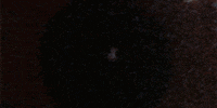 close up horror GIF by Maudit