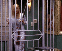 season 6 friends GIF