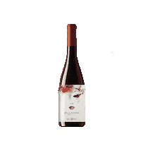 Barrinhasvinhos wine vinhos belladonna vinho tinto Sticker