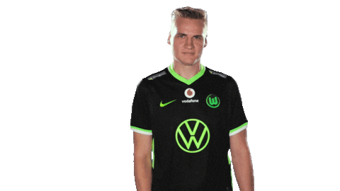 E Sports Sport Sticker by VfL Wolfsburg