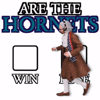 Charlotte Hornets GIF