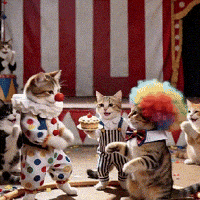 OrbitPaws happy fun party celebration GIF