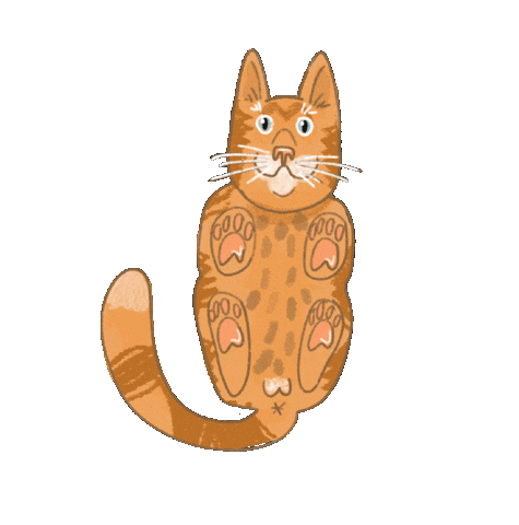 Red Cat Sticker