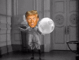 Trump Wtf GIF by Anne Horel
