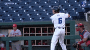 Creighton Baseball GIF by Creighton University Athletics