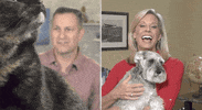 Cat Dog GIF