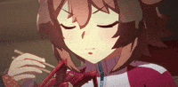 Shinko Windy GIF