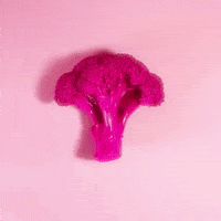 stop motion bubblegum GIF by Evan Hilton