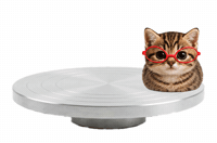 Cat Spinning GIF