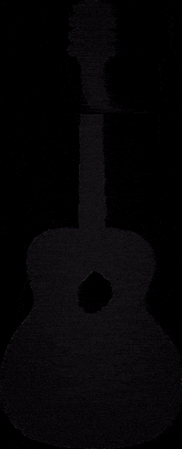 Orangewood giphygifmaker guitar acoustic GIF