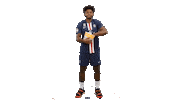 Ehf Champions League Fun Sticker by Paris Saint-Germain Handball